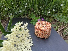  Crottin frais roulé aux herbes "PAMPA"